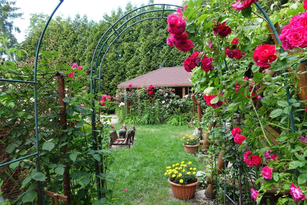 Apartament Danuta Mrągowo Dış mekan fotoğraf